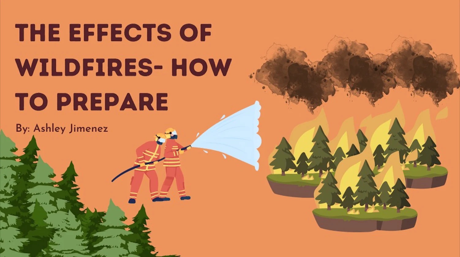 The Effects of Wildfires – How to Prepare